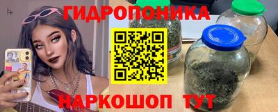 прущие крисы Будённовск