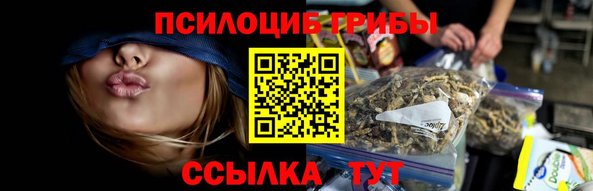 Галлюциногенные грибы Psilocybine cubensis Похвистнево